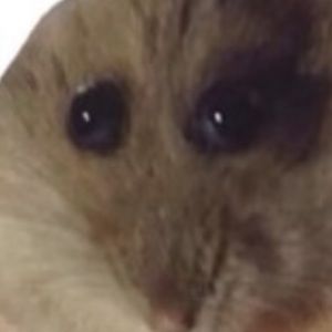 Meet your Posher, Cora